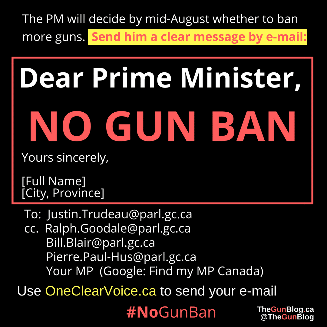 No Gun Ban