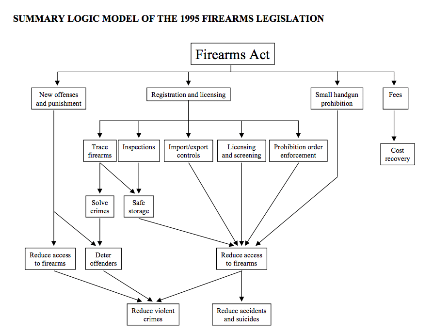 Summary Logic Model 1995 Firearms Act