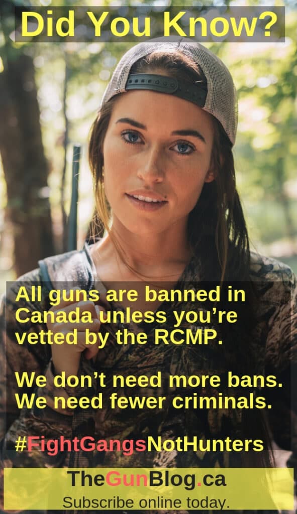 Liberal Gun Bans